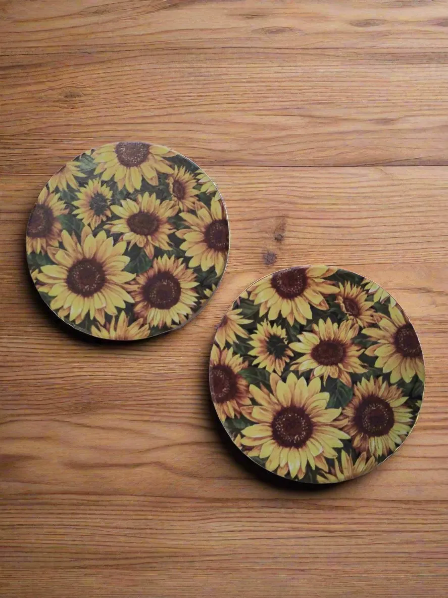 Ceramic Car Coasters
