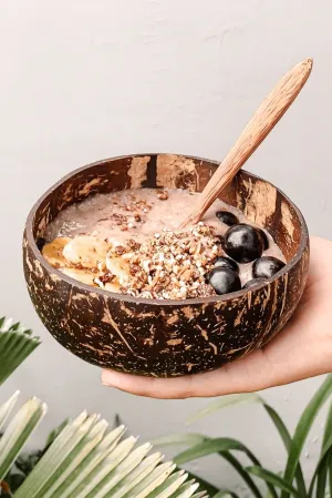 Coconut Bowl   Spoon | Sustainable Kitchenware