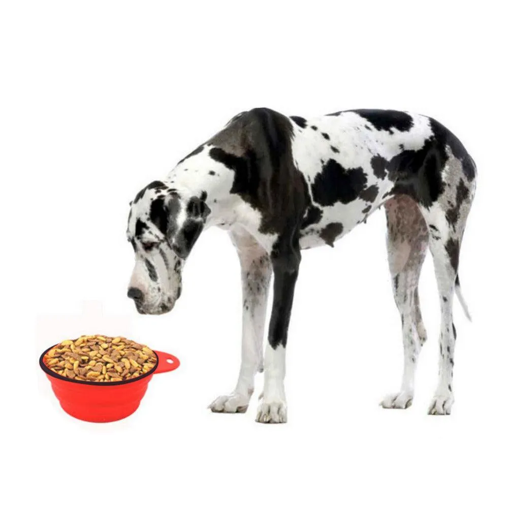 Pet's Foldable Portable Colorful Bowls